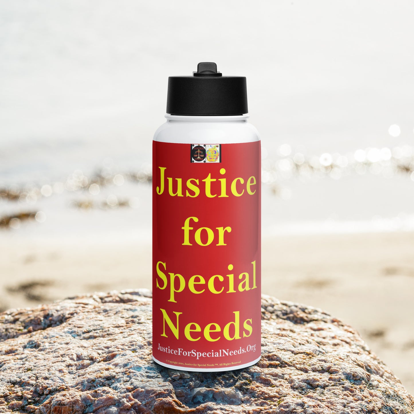 JUSTICE FOR SPECIAL NEEDS Stainless steel water bottle with a straw lid