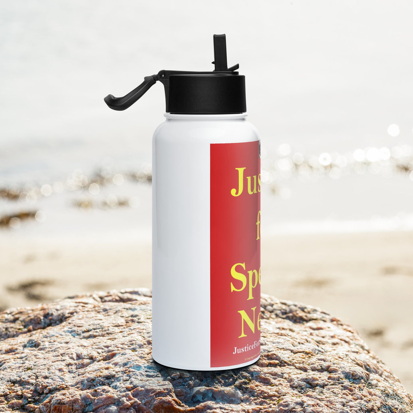 JUSTICE FOR SPECIAL NEEDS Stainless steel water bottle with a straw lid